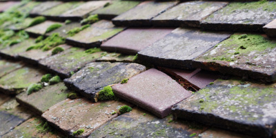 Little London roof repair costs